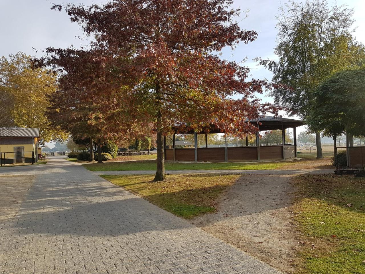 Apartments Luisenhof Krefeld Eksteriør billede